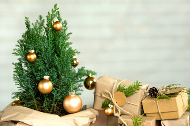 Similar image 20984194