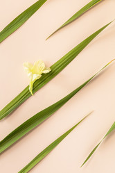 Similar image 20986588