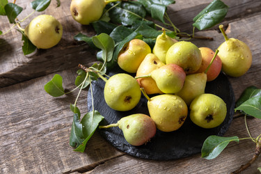 Similar image 20986589