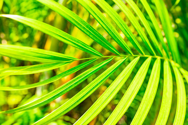 Similar image 21001790