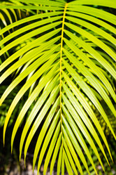 Similar image 21001791