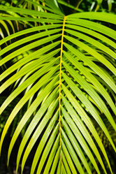 Similar image 21001792