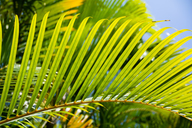 Similar image 21001824