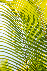 Similar image 21003652