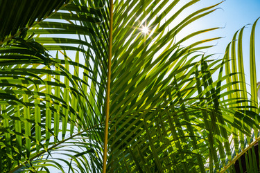 Similar image 21003655