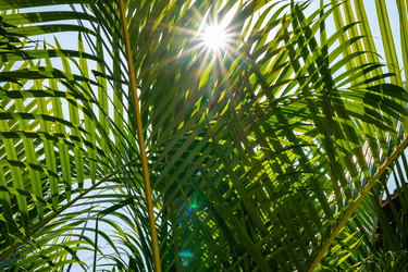 Similar image 21003656