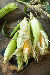 Similar image 20986591