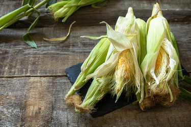 Similar image 20986592