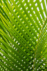 Similar image 20994554