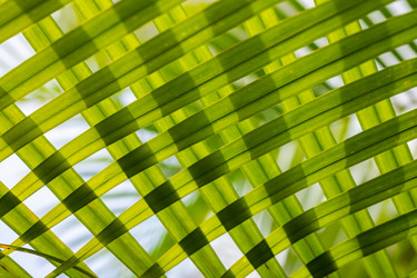 Similar image 20994619