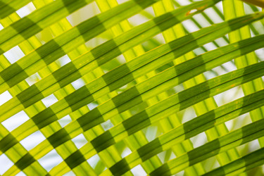 Similar image 21001174