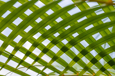 Similar image 21001203