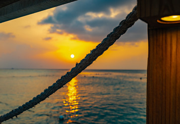 Similar image 21001204