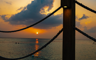 Similar image 21001236