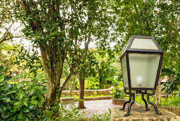 Similar image 21001366