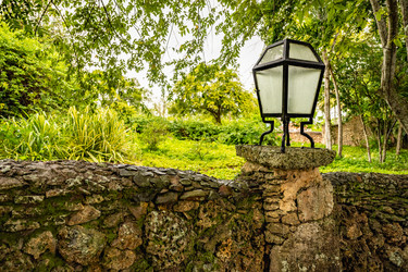 Similar image 21001369