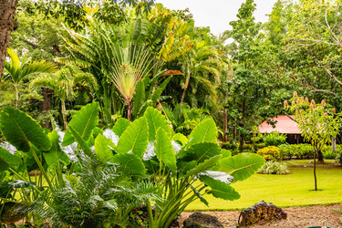 Similar image 21001439