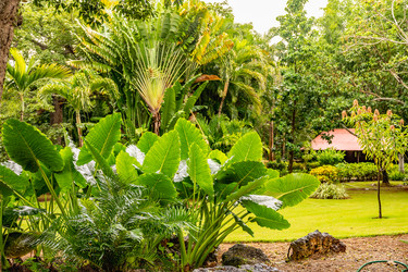 Similar image 21001440