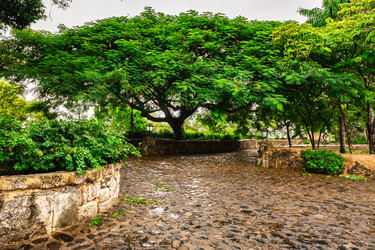 Similar image 21001830