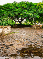 Similar image 21001831