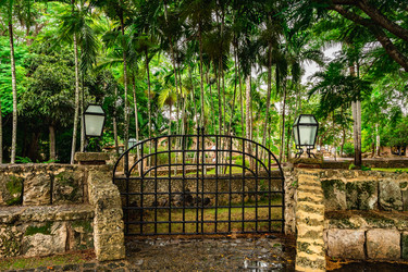 Similar image 21003662