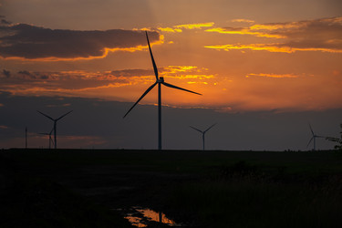 Similar image 20978991