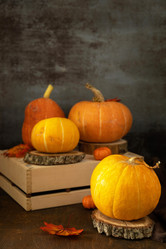 Similar image 20986411