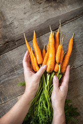 Similar image 20986628