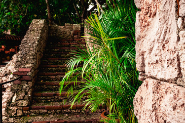 Similar image 21003667