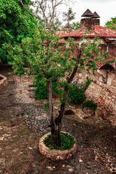 Similar image 20975309