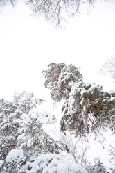 Similar image 20984209