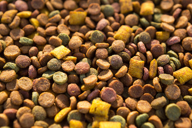 Similar image 20984411