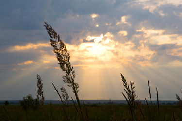 Similar image 20984413