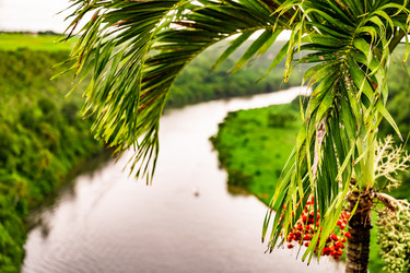 Similar image 20994565