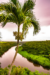 Similar image 20994567