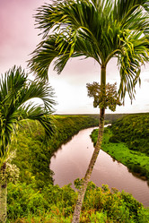 Similar image 20994568