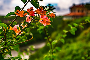 Similar image 21001244