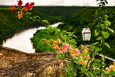 Similar image 21001288