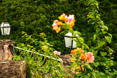 Similar image 21001376