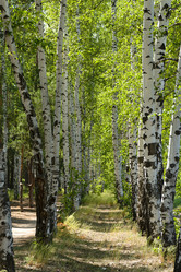 Similar image 20978996