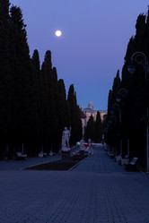 Similar image 20978998