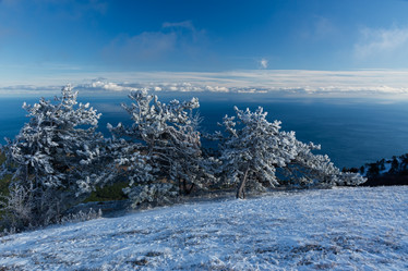 Similar image 20978999