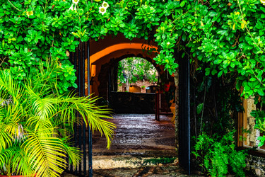 Similar image 20975531