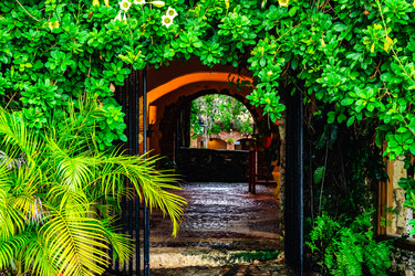 Similar image 20975532