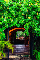 Similar image 20975533