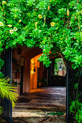 Similar image 20975535