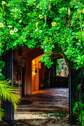 Similar image 20975536