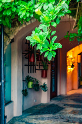 Similar image 20975538