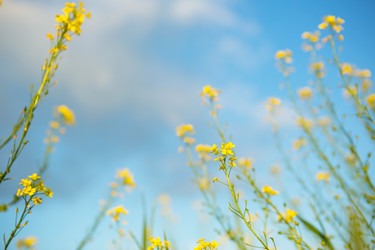 Similar image 20984301