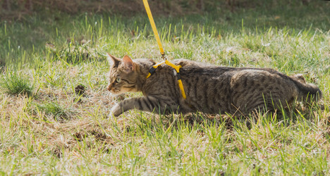 Similar image 20985159